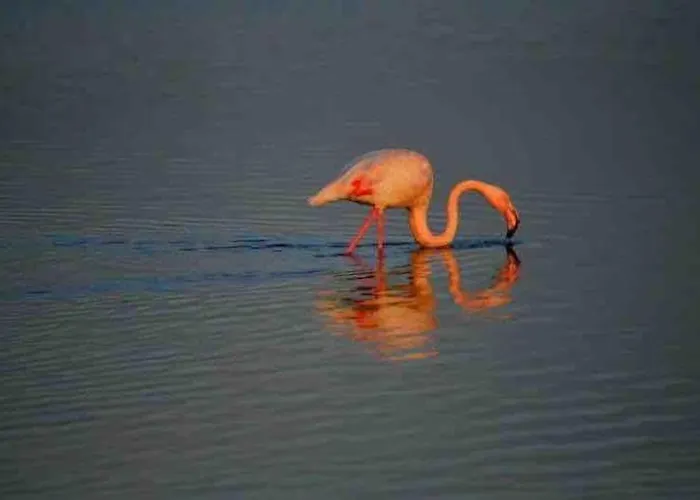 Vue Palavas-les-Flots